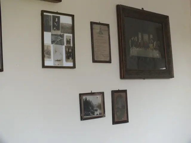 Muzeum